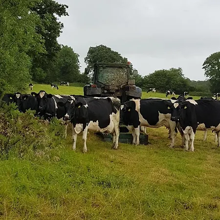 Tir Na Nog Bed & Breakfast *