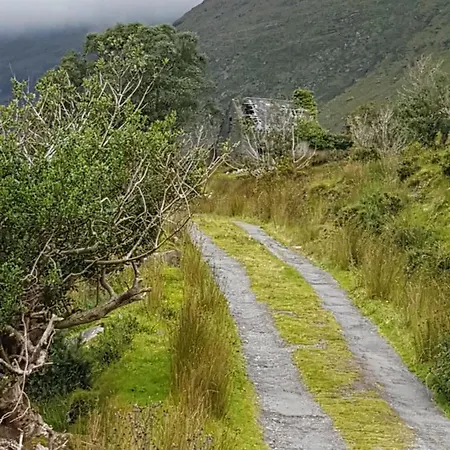 Tir Na Nog Отель типа 