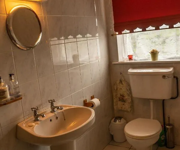 Tir Na Nog 住宿加早餐酒店 *