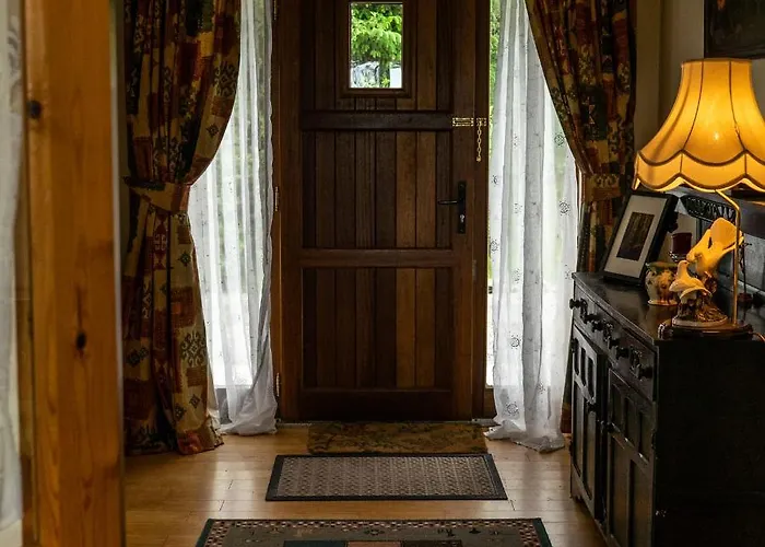 住宿加早餐酒店 Tir Na Nog Sráid an Mhuilinn