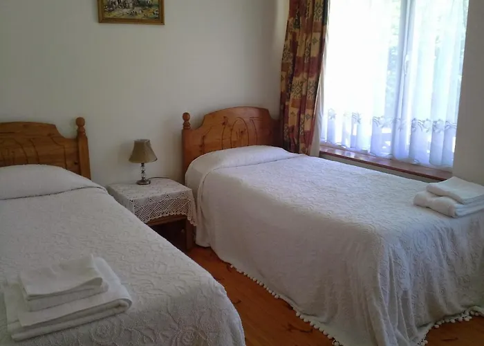 住宿加早餐酒店 Tir Na Nog