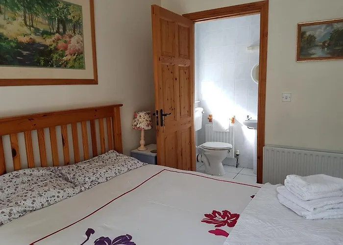 住宿加早餐酒店 Tir Na Nog Sráid an Mhuilinn