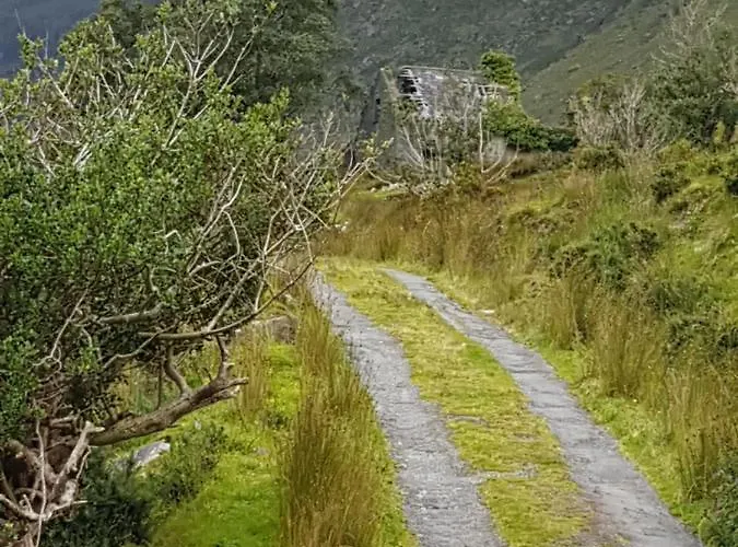 Tir Na Nog 住宿加早餐酒店 *