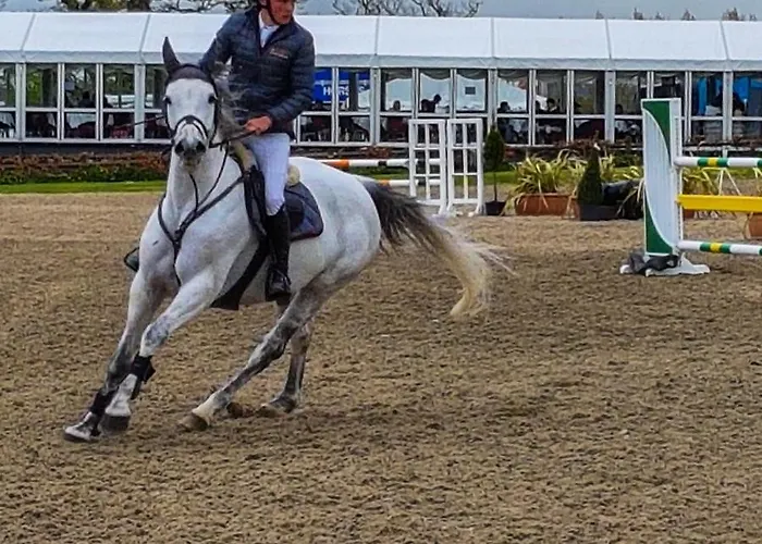 住宿加早餐酒店 Tir Na Nog *