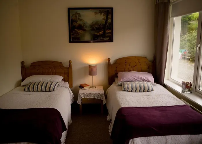 住宿加早餐酒店 Tir Na Nog Sráid an Mhuilinn